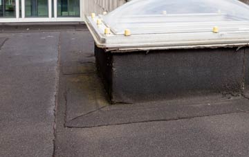 disadvantages of Frogpool flat roofs