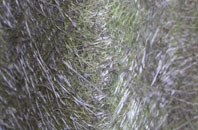 Frogpool fibreglass roof work